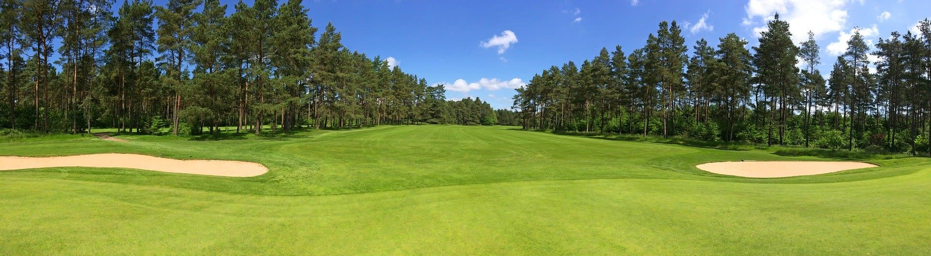 Premium golf course background